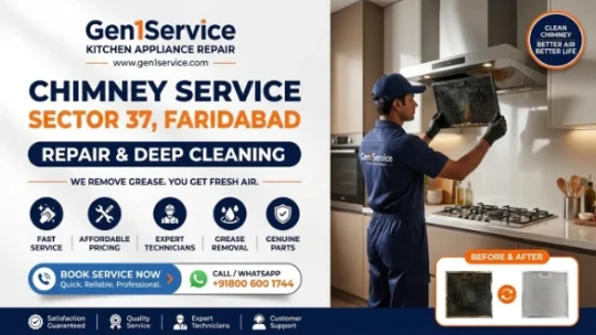 Top Kutchina Chimney Repair Service in Sector 37 Faridabad