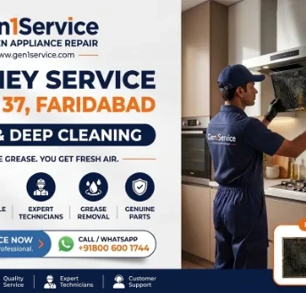 Best Gilma Chimney Repair Service in Sector 37 Faridabad